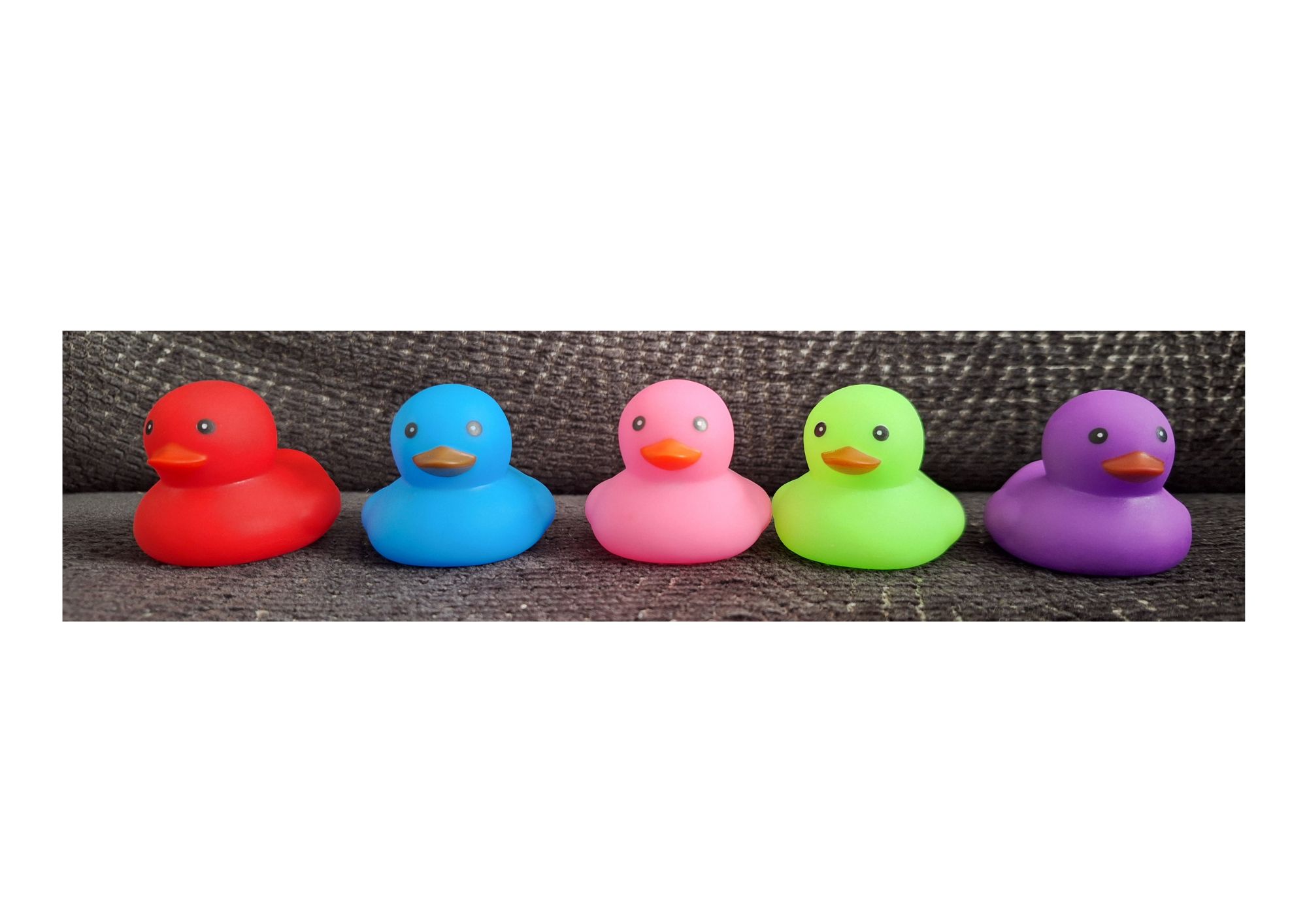 Refresh Ducks