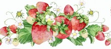 Strawberries